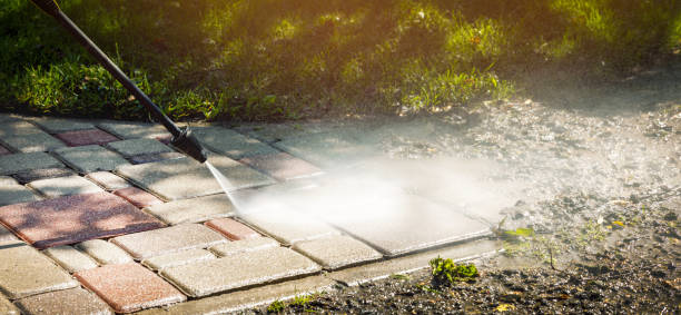 Best Roof Washing  in Reserve, LA